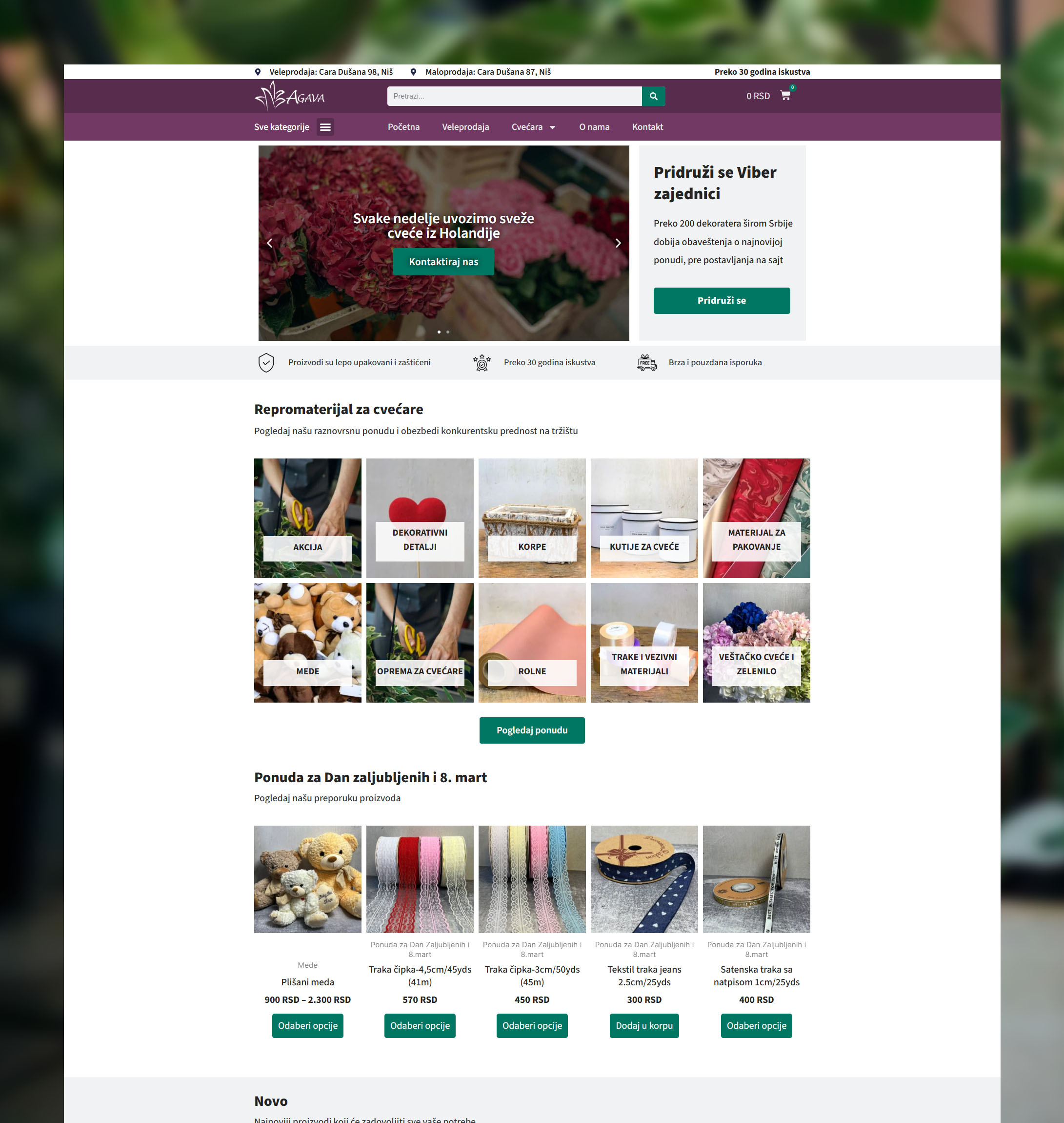 Agava website 1