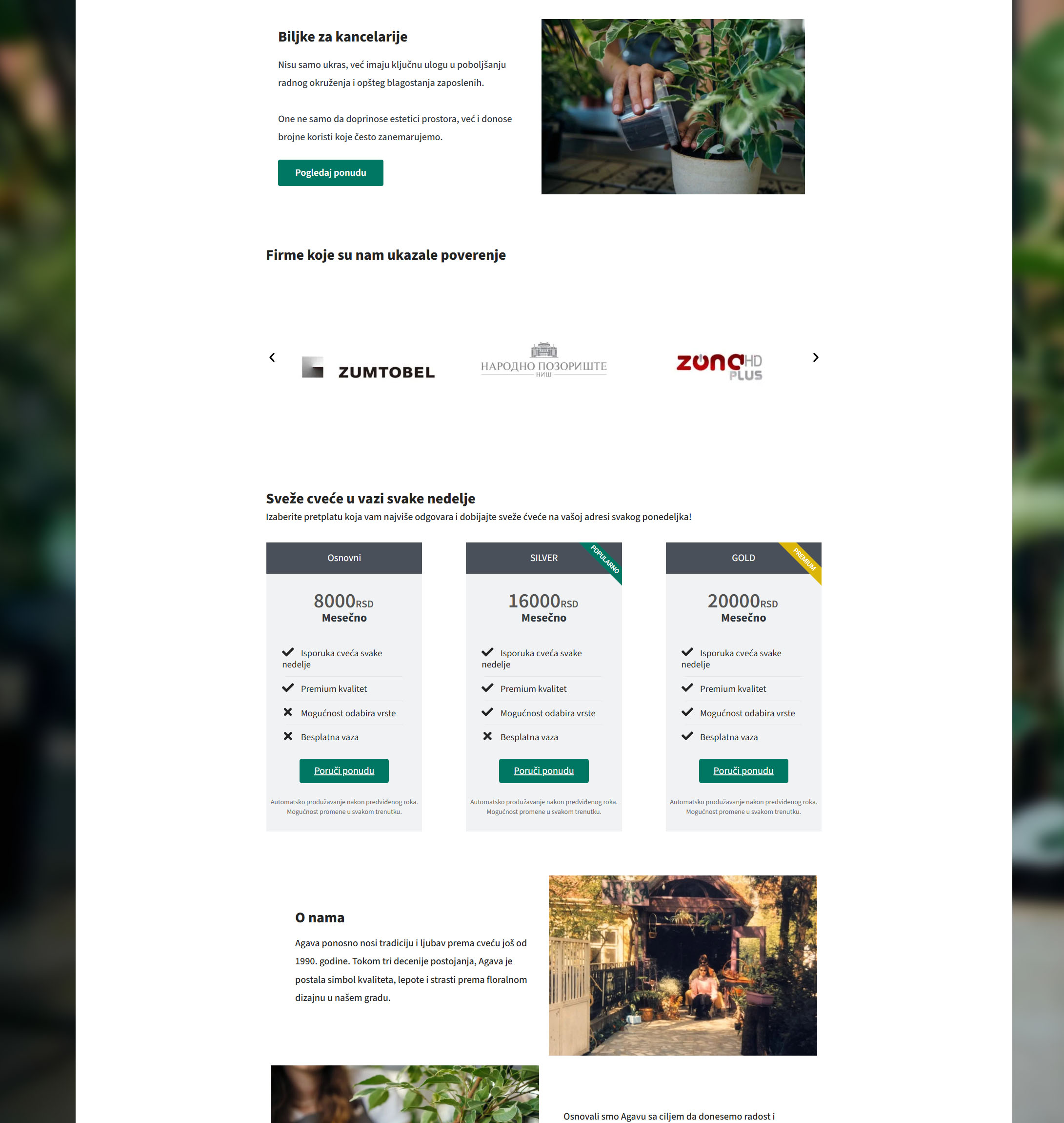 Agava website 3