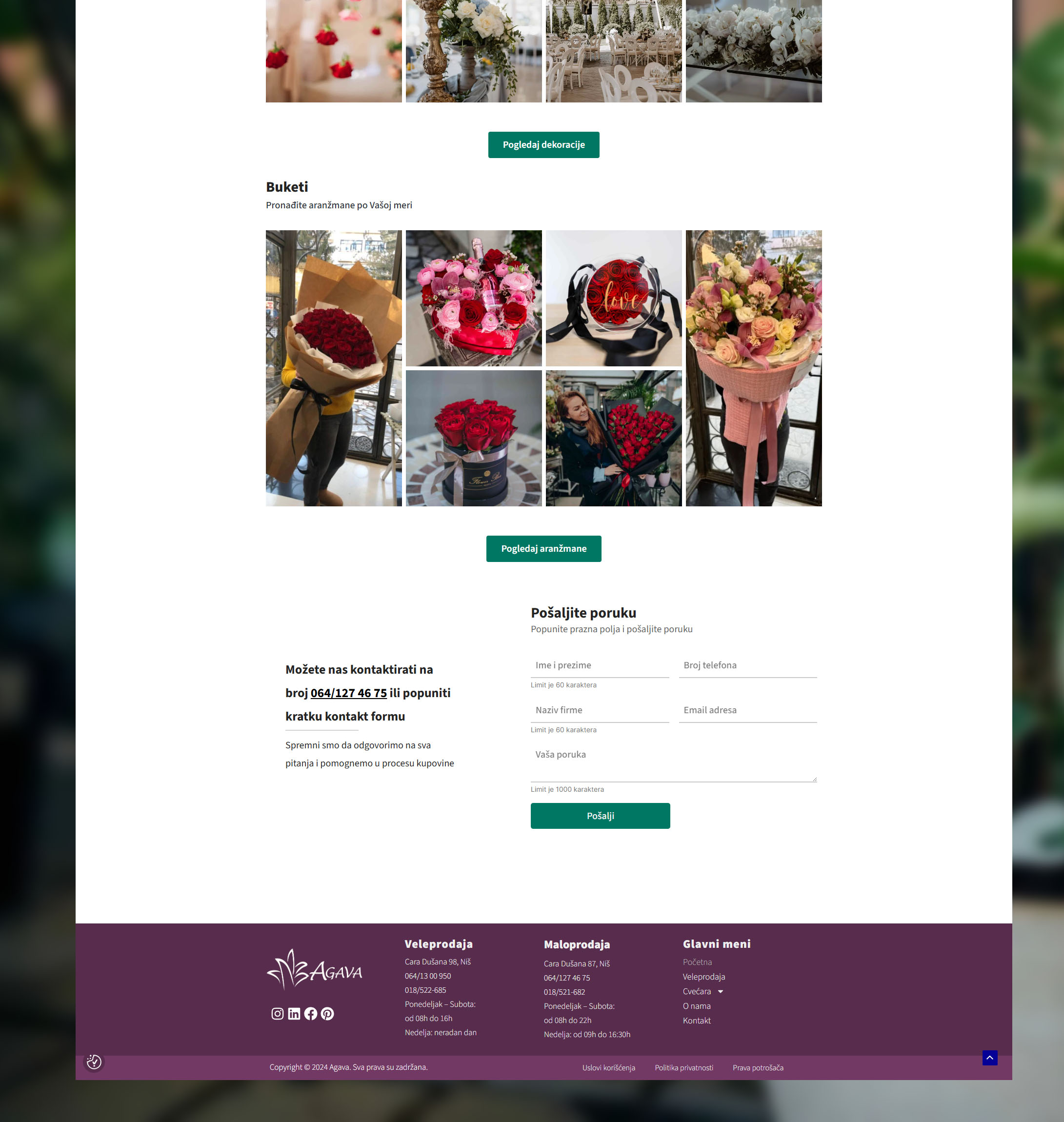 Agava website 4